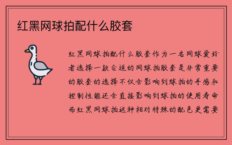 红黑网球拍配什么胶套