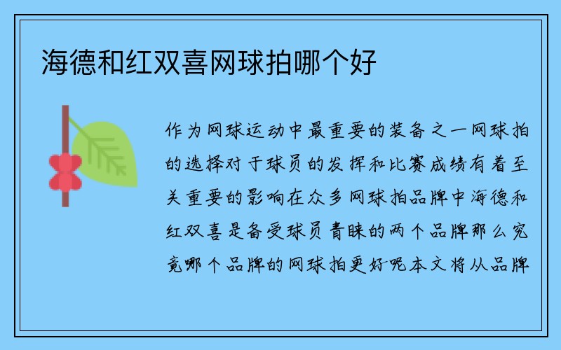 海德和红双喜网球拍哪个好